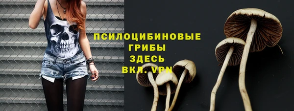 дживик Баксан