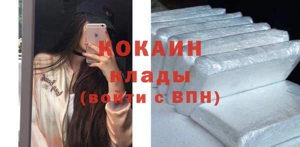 дживик Баксан