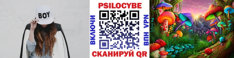 купить  сайты  Вольск  Галлюциногенные грибы Cubensis 